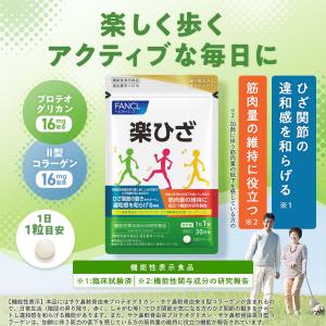 楽ひざ 機能性表示食品 90日分 関節 サプリ...の詳細画像1