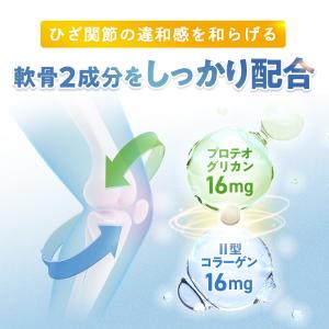 楽ひざ 機能性表示食品 90日分 関節 サプリ...の詳細画像3