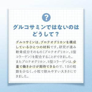 楽ひざ 機能性表示食品 90日分 関節 サプリ...の詳細画像4