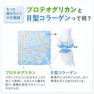 楽ひざ 機能性表示食品 90日分 関節 サプリ...の詳細画像5