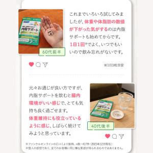 内脂サポート 機能性表示食品 30日分 内臓脂...の詳細画像1