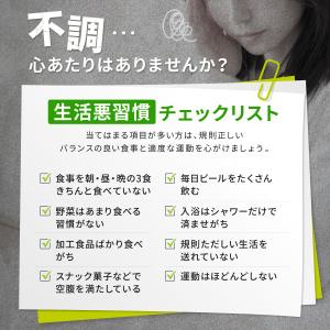 基本栄養パック 栄養機能食品 15〜30日分 ...の詳細画像2
