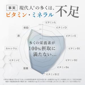 ビタミンC 90日分 サプリメント サプリ ビ...の詳細画像2