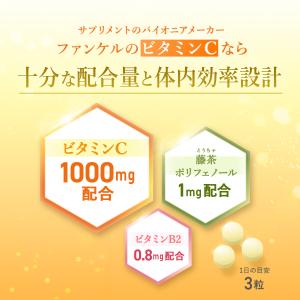 ビタミンC 90日分 サプリメント サプリ ビ...の詳細画像4