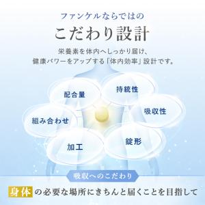 ビタミンC 90日分 サプリメント サプリ ビ...の詳細画像5