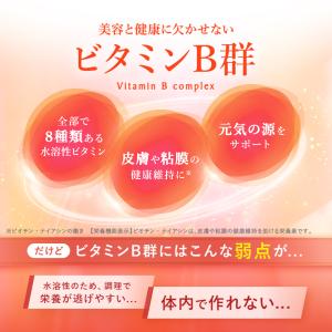 ビタミンB群 栄養機能食品 30日分 サプリメ...の詳細画像3