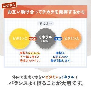 マルチビタミン&ミネラル Base POWER...の詳細画像4