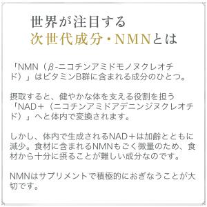 NMN×CoQ10 サプリ サプリメント コエ...の詳細画像2
