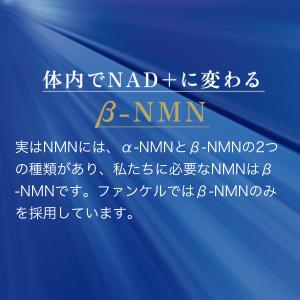 NMN×CoQ10 サプリ サプリメント コエ...の詳細画像5