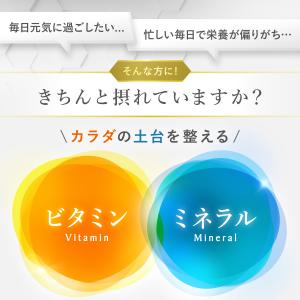 カルシウム サプリメント 栄養機能食品 90日...の詳細画像1