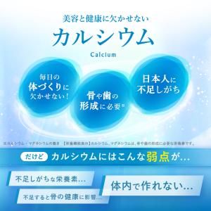 カルシウム サプリメント 栄養機能食品 90日...の詳細画像3
