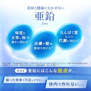 亜鉛 栄養機能食品 90日分 サプリ サプリメ...の詳細画像3