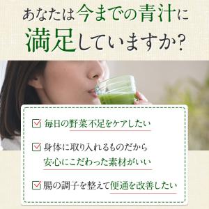 野菜と乳酸菌とビフィズス菌がとれる青汁 10本...の詳細画像2
