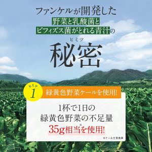 野菜と乳酸菌とビフィズス菌がとれる青汁 10本...の詳細画像3