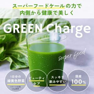 1日分のケール青汁 30本入り 青汁 国産 ケ...の詳細画像1