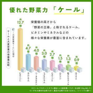 1日分のケール青汁 30本入り 青汁 国産 ケ...の詳細画像5