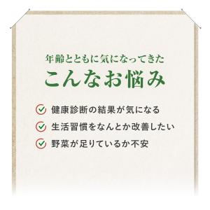 4つの健康数値をサポートする緑黄色野菜ミックス...の詳細画像4
