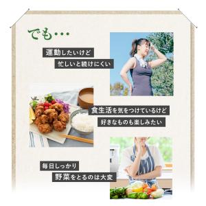 4つの健康数値をサポートする緑黄色野菜ミックス...の詳細画像5
