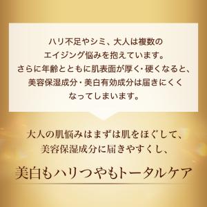 ビューティブーケ 薬用 発酵バイタル&ブライト...の詳細画像3