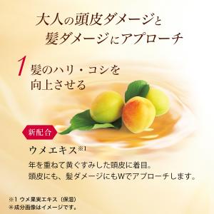 ビューティブーケ ふんわりコシ髪 シャンプー ...の詳細画像2