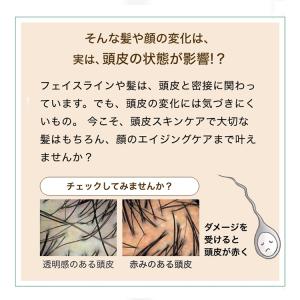 ビューティブーケ 発酵和漢ヘアエッセンス 医薬...の詳細画像3