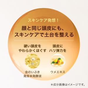 ビューティブーケ 発酵和漢ヘアエッセンス 医薬...の詳細画像5