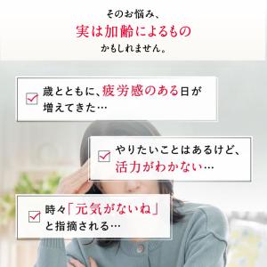 ウェルエイジ プレミアム 機能性表示食品 90...の詳細画像5