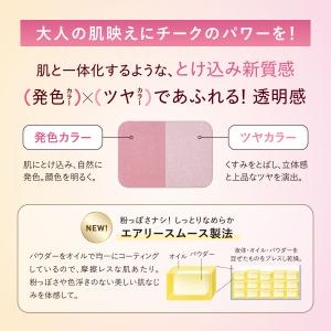 ニュアンスコントラストチークカラー [ケース入...の詳細画像2