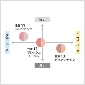 ニュアンスコントラストチークカラー [ケース入...の詳細画像5