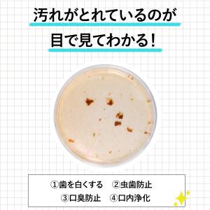 ファンケル 液体ハミガキ 個包装10mL×12...の詳細画像2