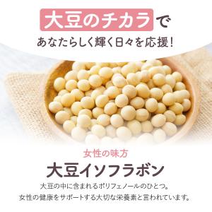 濃縮大豆イソフラボン 乳酸菌プラス30日分 サ...の詳細画像4