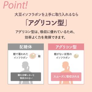 濃縮大豆イソフラボン 乳酸菌プラス30日分 サ...の詳細画像5