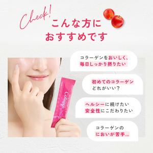 ディープチャージ コラーゲン スティックゼリー...の詳細画像2
