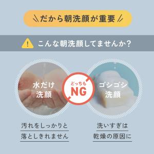 やわ肌ミルク洗顔<朝用ミルク状洗顔料>2本 洗...の詳細画像4