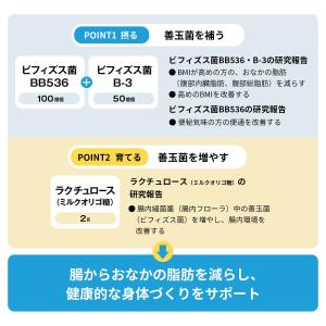 BBオリゴパウダー by内脂サポート 機能性表...の詳細画像4