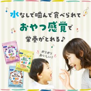 親子deシリーズよいこセット 鉄分 カルシウム...の詳細画像1