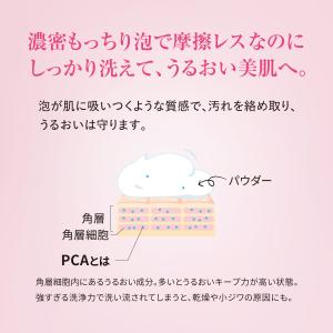 洗顔パウダー リッチモイスチャー 2本 コスメ...の詳細画像3