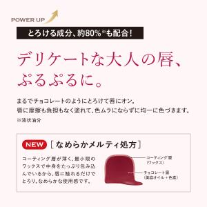 アクアセラムルージュ 化粧品 ルージュ 口紅 ...の詳細画像2