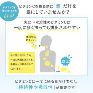 ホワイトフォース Cパウダー1箱 FANCL ...の詳細画像4