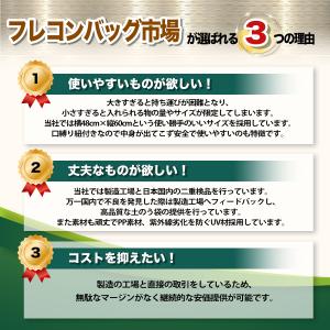 50枚入 土のう袋 土嚢袋 ひも付 60cm×...の詳細画像1