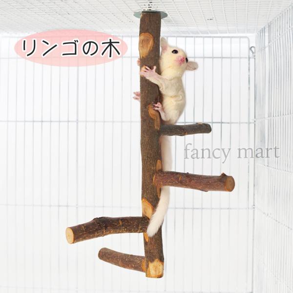 モモンガ タワー りんごの木 爪研ぎ 遊び場 登る 枝 りんご パーチ 木 林檎 天然木 枝 ケージ...