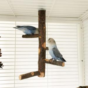 鳥 止まり木 インコ タワー 階段 モモンガ ...の詳細画像3