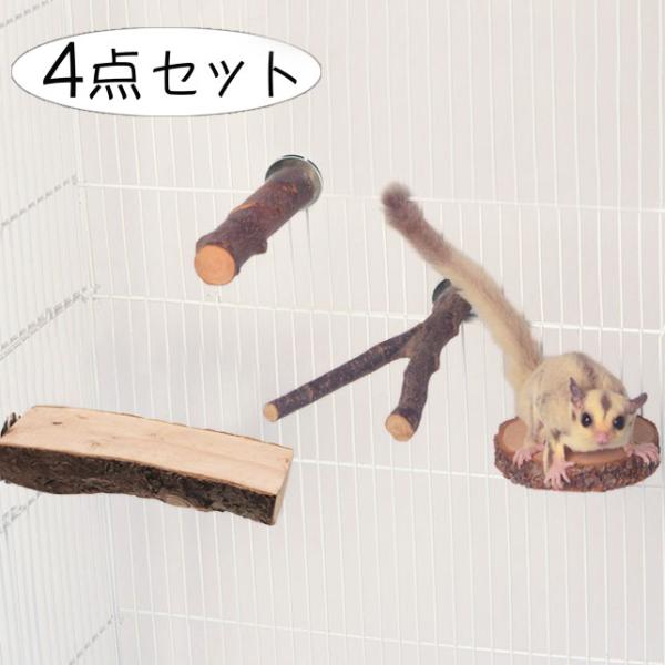 小動物 モモンガ 止まり木 ステージ 4点 セット 爪研ぎ ステップ 遊び場 りんご 天然木 Y型 ...
