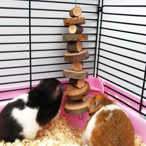 小動物 鳥 かじり木 乾燥 果実の木 リンゴの...の詳細画像2