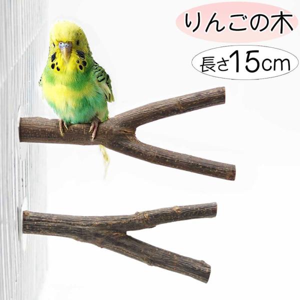 鳥 止まり木 Y型 リンゴの木 天然木 果実の木 バードパーチ セキセイ コザクラ 小型 中型 イン...