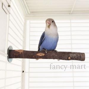インコ セキセイインコ 鳥 止まり木 リンゴの...の詳細画像3