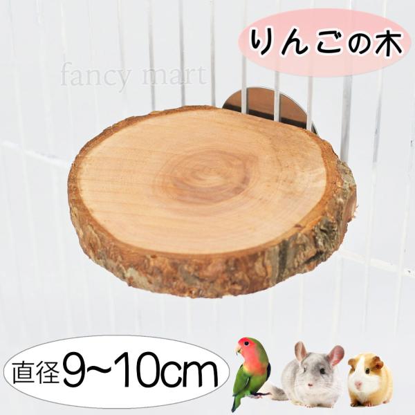 デグー チンチラ モルモット ステップ ステージ インコ 鳥 止まり木 足場 階段 リンゴの木 丸型...