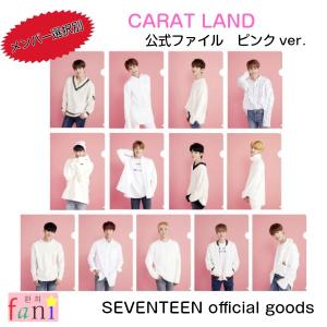 SEVEN TEEN(セブンティ-ン)[ファイル]ピンクver.【2018 SEVENTEEN in CARAT LAND OFFICIAL GOODS】コンサート公式グッズ【メンバー別】｜fani2015