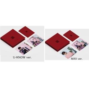 東方神起(TVXQ!),SHINee,EXO -AIRPOD POUCH| キャラクターぬいぐるみ