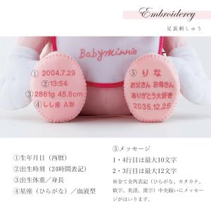 赤ちゃん 体重 ぬいぐるみ ディズニー メモリ...の詳細画像4